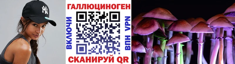 Псилоцибиновые грибы прущие грибы  сколько стоит  Большой Камень 